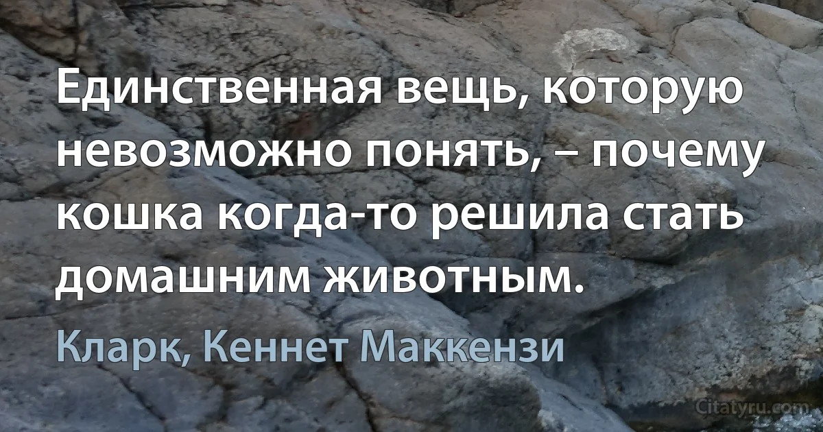 Единственная вещь, которую невозможно понять, – почему кошка когда-то решила стать домашним животным. (Кларк, Кеннет Маккензи)