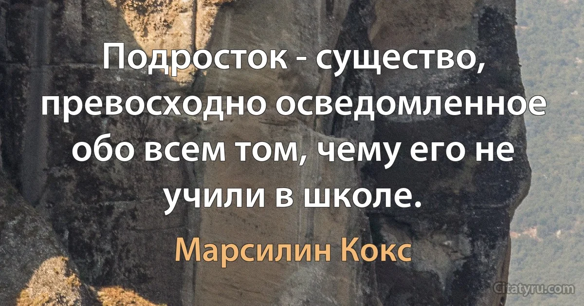 Подросток - существо, превосходно осведомленное обо всем том, чему его не учили в школе. (Марсилин Кокс)