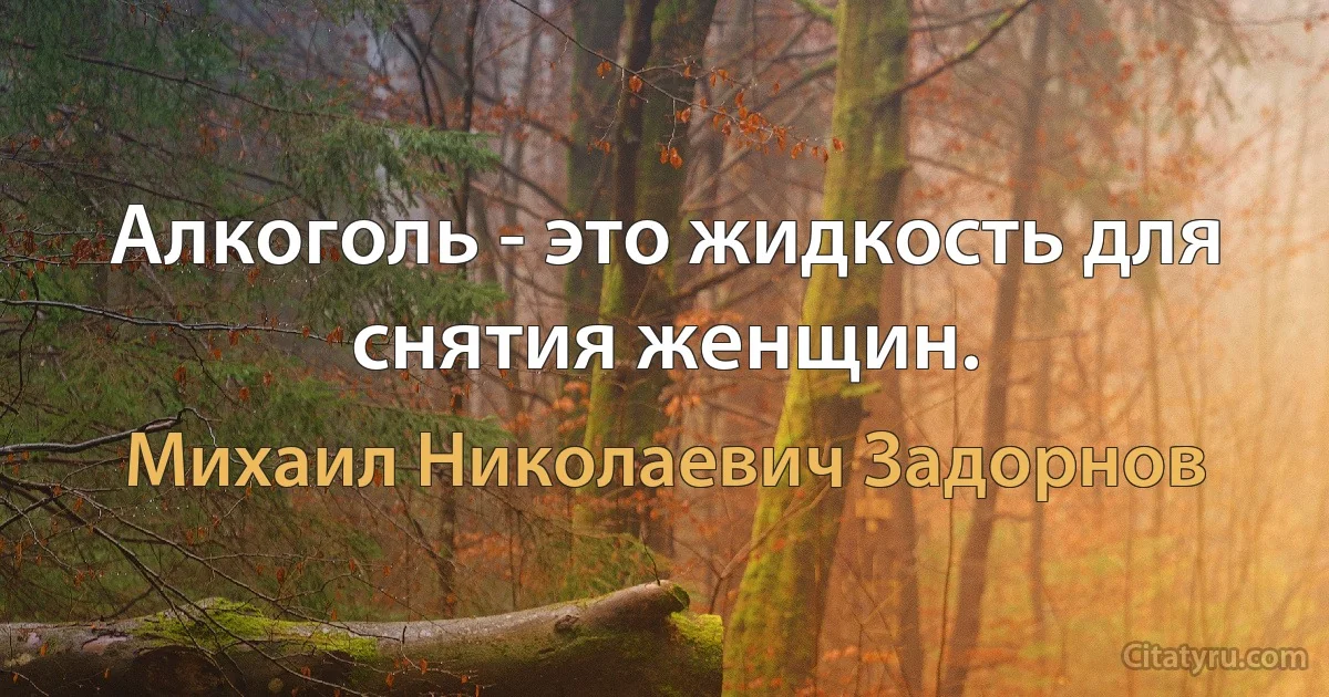 Алкоголь - это жидкость для снятия женщин. (Михаил Николаевич Задорнов)