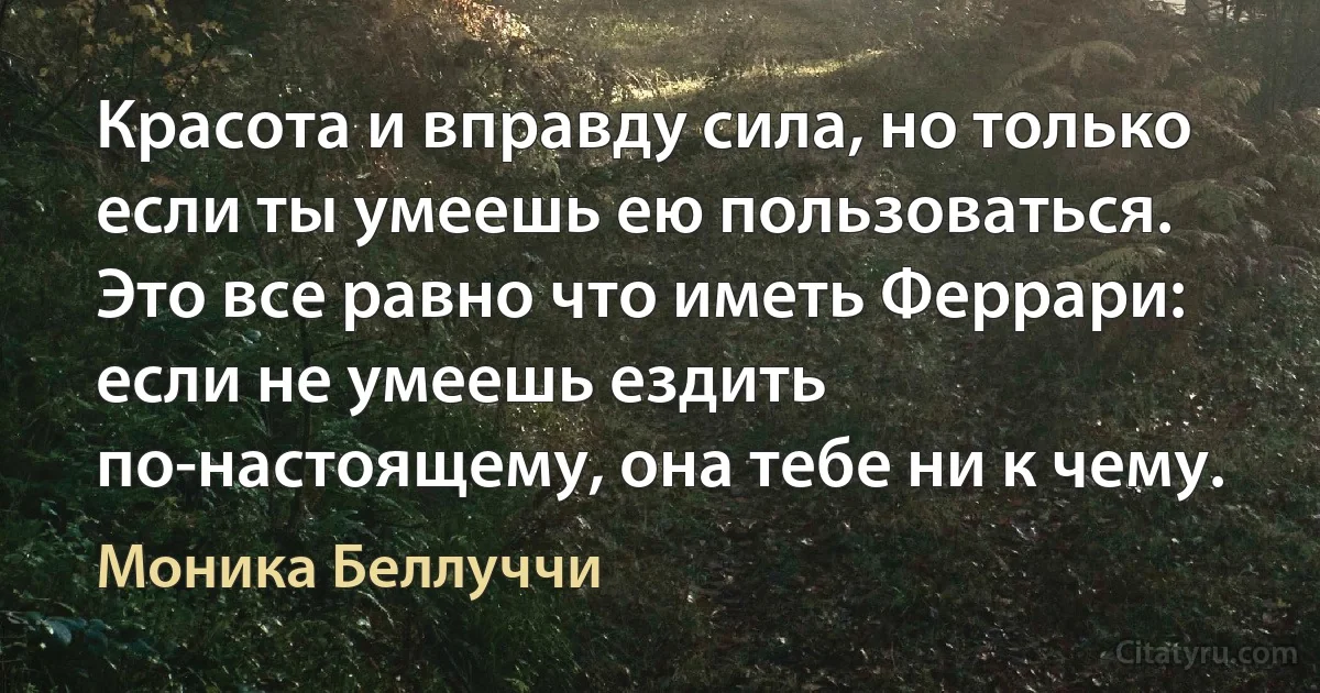 Красота и вправду сила, но только если ты умеешь ею пользоваться. Это все равно что иметь Феррари: если не умеешь ездить по-настоящему, она тебе ни к чему. (Моника Беллуччи)