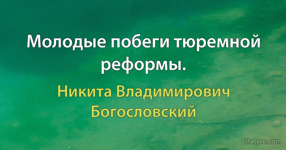 Молодые побеги тюремной реформы. (Никита Владимирович Богословский)