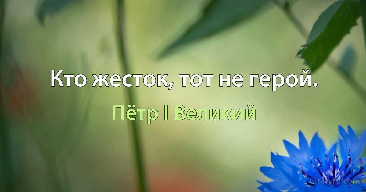 Кто жесток, тот не герой. (Пётр I Великий)