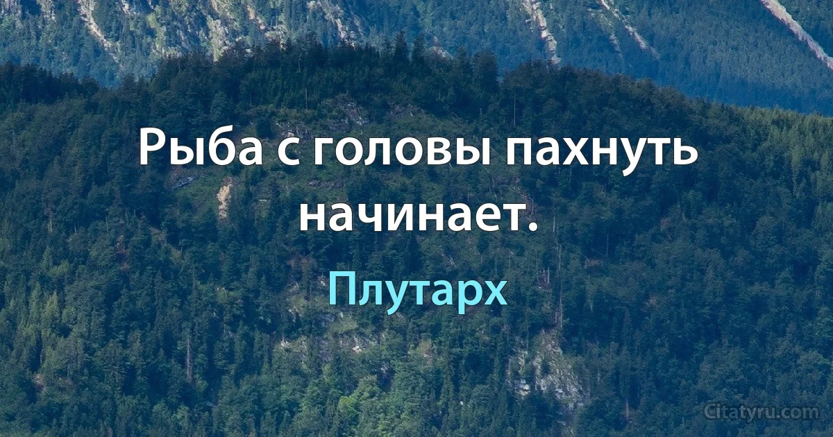 Рыба с головы пахнуть начинает. (Плутарх)