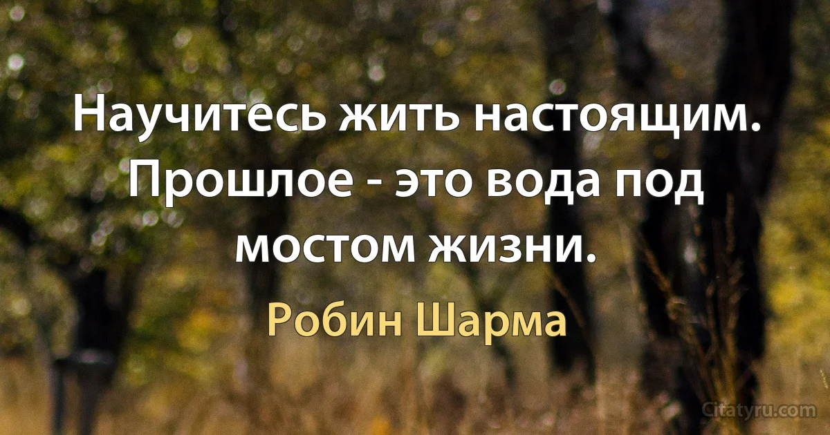 Научитесь жить настоящим. Прошлое - это вода под мостом жизни. (Робин Шарма)