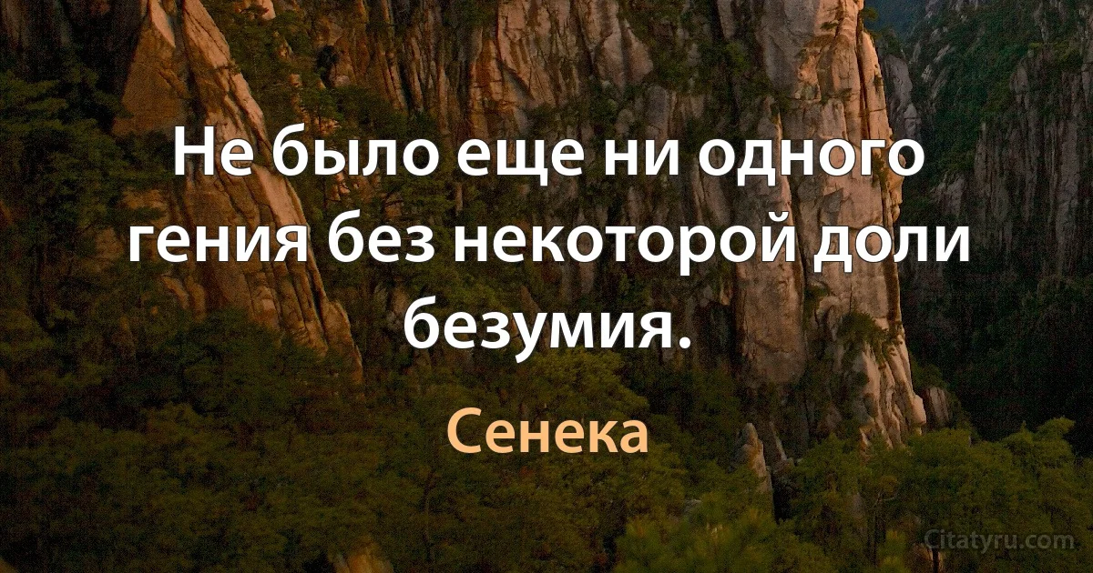 Не было еще ни одного гения без некоторой доли безумия. (Сенека)