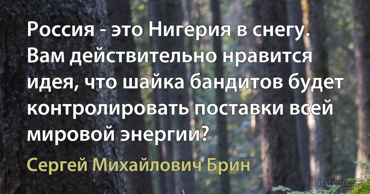 Россия - это Нигерия в снегу. Вам действительно нравится идея, что шайка бандитов будет контролировать поставки всей мировой энергии? (Сергей Михайлович Брин)