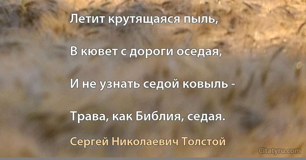 Летит крутящаяся пыль,

В кювет с дороги оседая,

И не узнать седой ковыль -

Трава, как Библия, седая. (Сергей Николаевич Толстой)