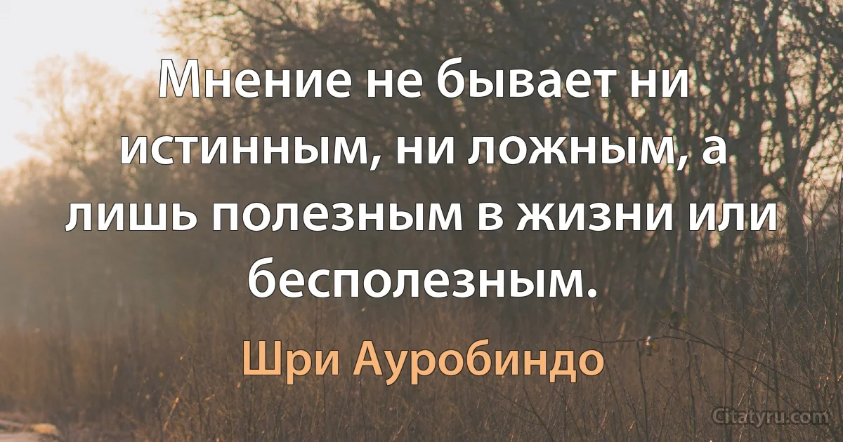 Мнение не бывает ни истинным, ни ложным, а лишь полезным в жизни или бесполезным. (Шри Ауробиндо)