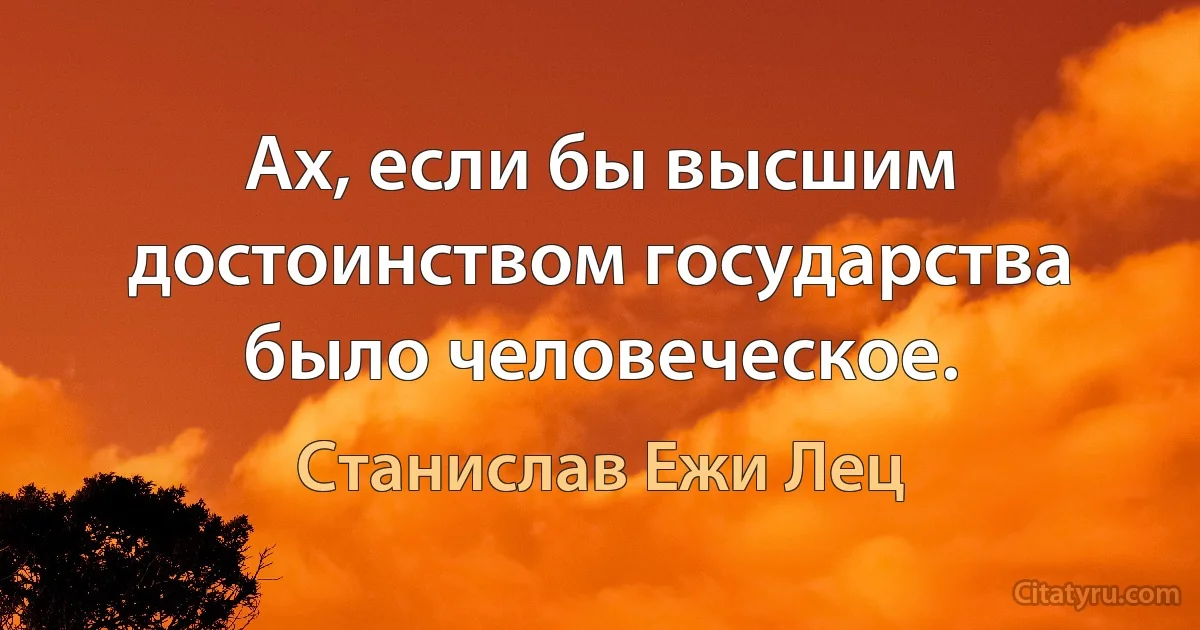 Ах, если бы высшим достоинством государства было человеческое. (Станислав Ежи Лец)