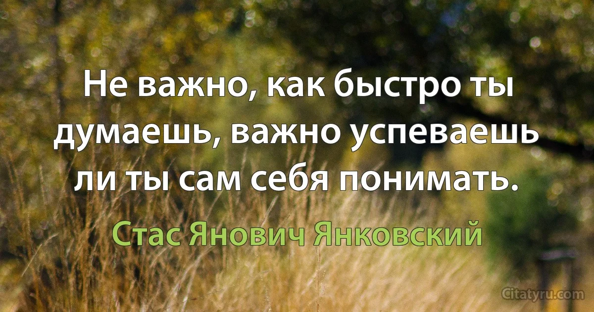 Не важно, как быстро ты думаешь, важно успеваешь ли ты сам себя понимать. (Стас Янович Янковский)