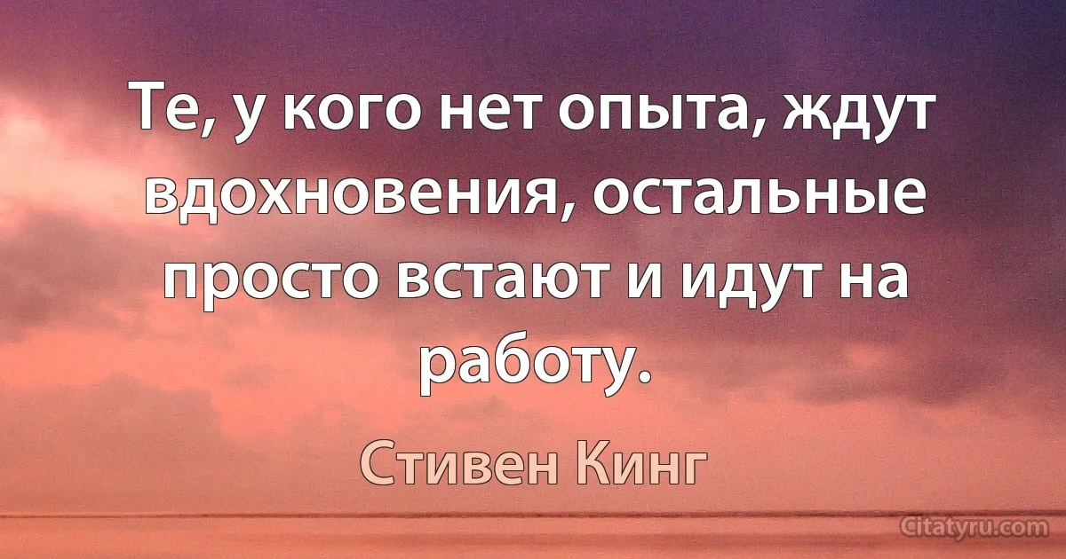 Те, у кого нет опыта, ждут вдохновения, остальные просто встают и идут на работу. (Стивен Кинг)