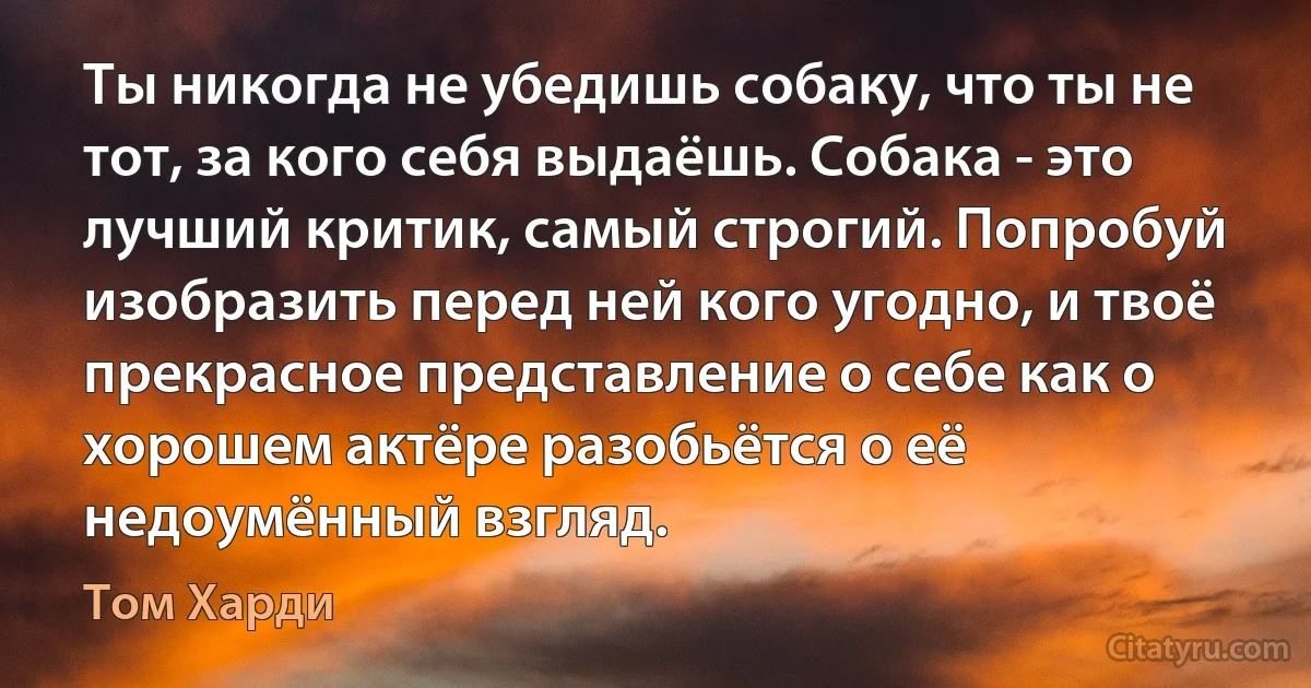 Ты никогда не убедишь собаку, что ты не тот, за кого себя выдаёшь. Собака - это лучший критик, самый строгий. Попробуй изобразить перед ней кого угодно, и твоё прекрасное представление о себе как о хорошем актёре разобьётся о её недоумённый взгляд. (Том Харди)