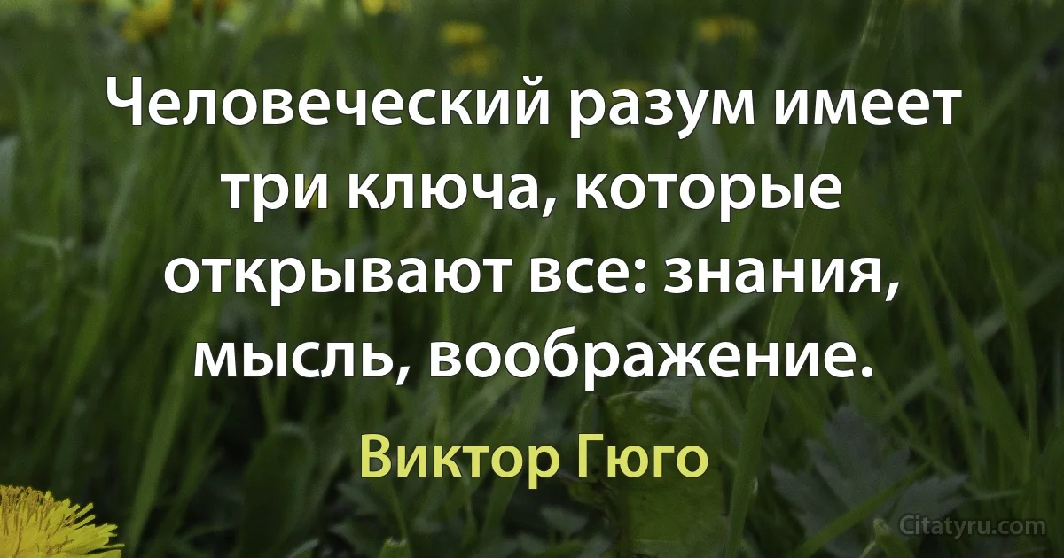 Человеческий разум имеет три ключа, которые открывают все: знания, мысль, воображение. (Виктор Гюго)