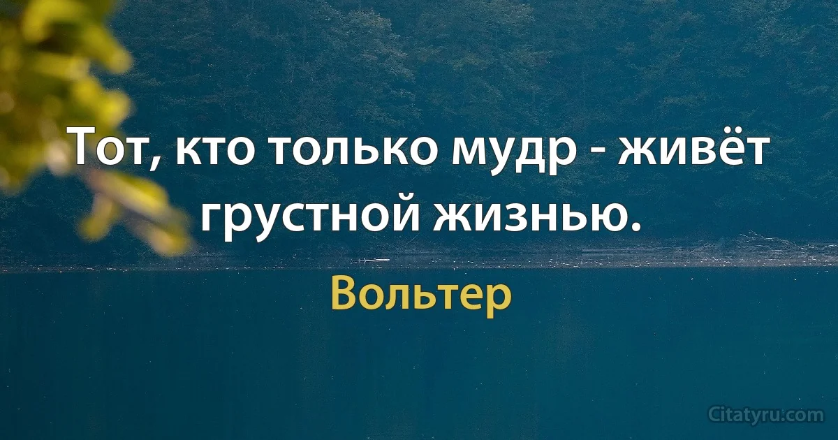 Тот, кто только мудр - живёт грустной жизнью. (Вольтер)