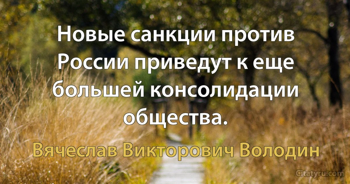 Новые санкции против России приведут к еще большей консолидации общества. (Вячеслав Викторович Володин)