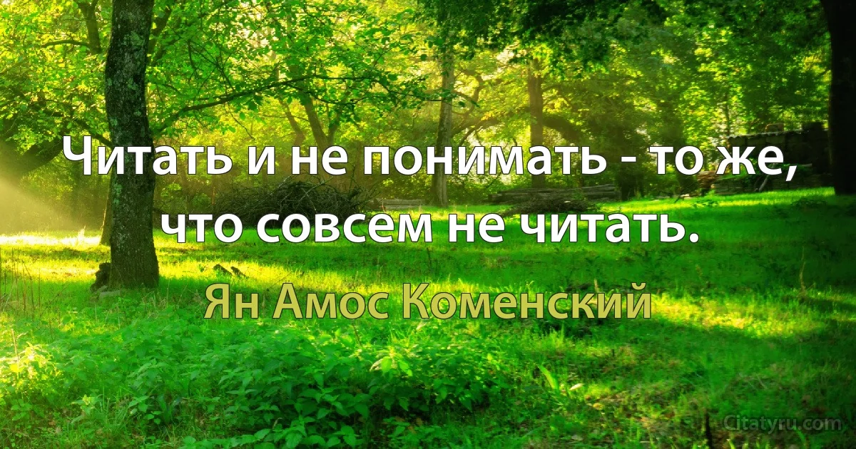 Читать и не понимать - то же, что совсем не читать. (Ян Амос Коменский)