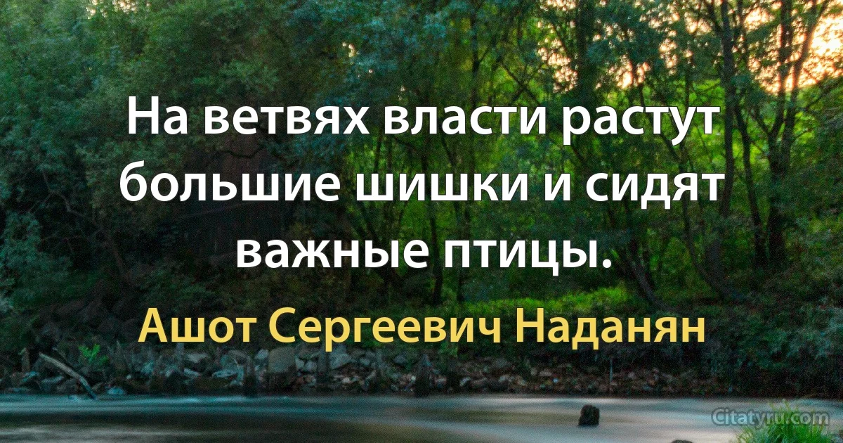 На ветвях власти растут большие шишки и сидят важные птицы. (Ашот Сергеевич Наданян)