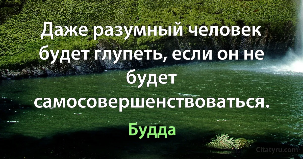 Даже разумный человек будет глупеть, если он не будет самосовершенствоваться. (Будда)