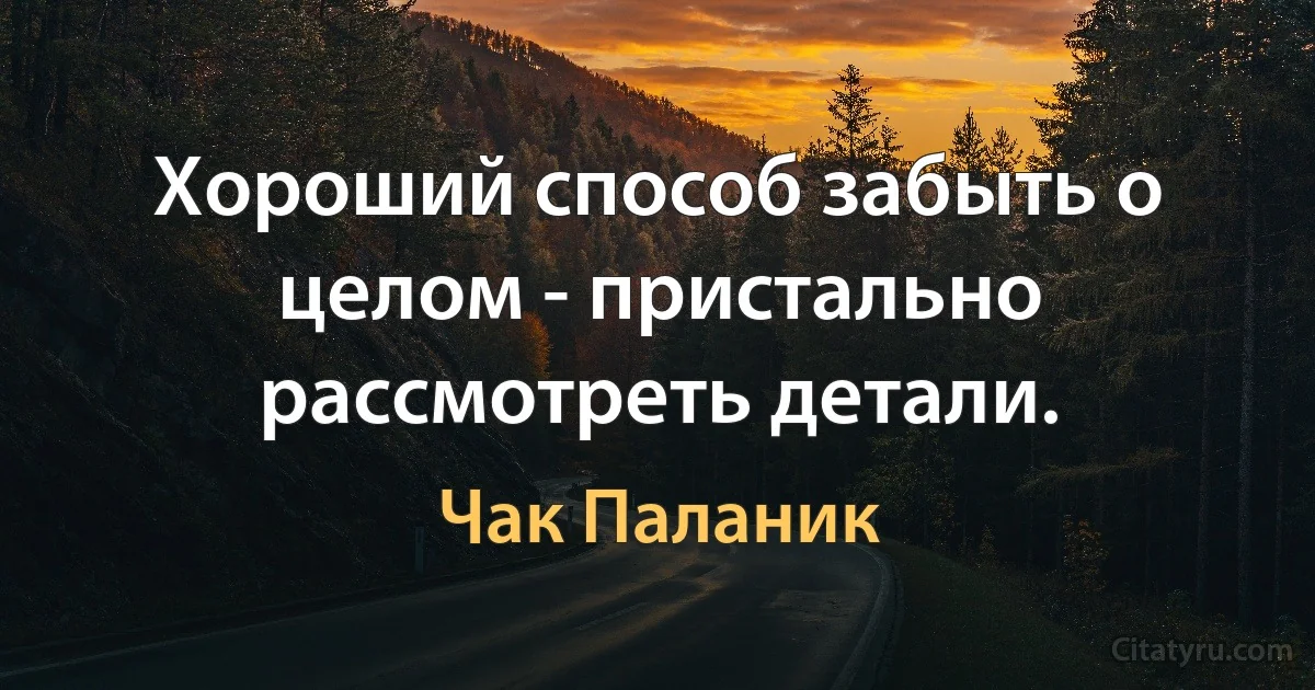 Хороший способ забыть о целом - пристально рассмотреть детали. (Чак Паланик)