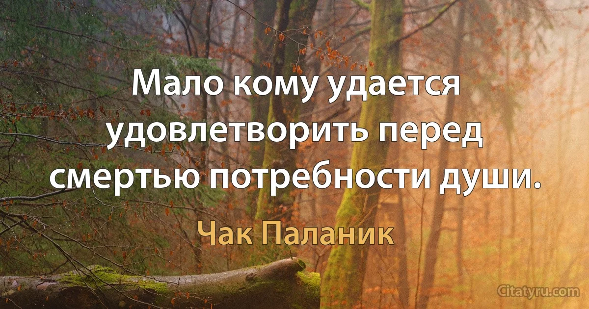 Мало кому удается удовлетворить перед смертью потребности души. (Чак Паланик)