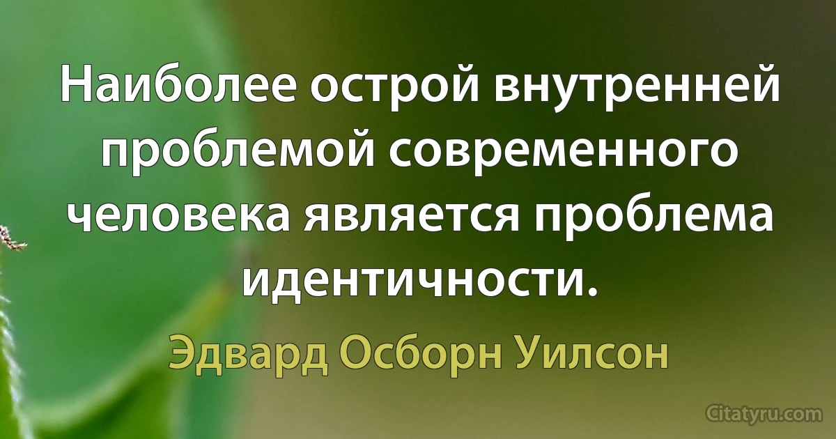 Наиболее острой внутренней проблемой современного человека является проблема идентичности. (Эдвард Осборн Уилсон)