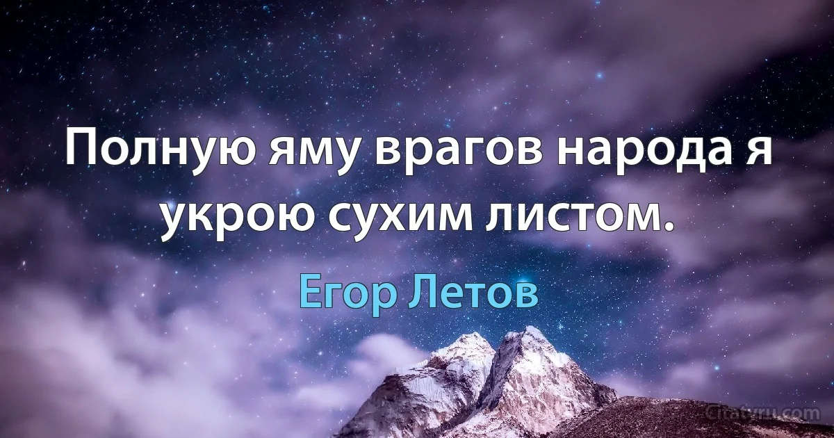 Полную яму врагов народа я укрою сухим листом. (Егор Летов)