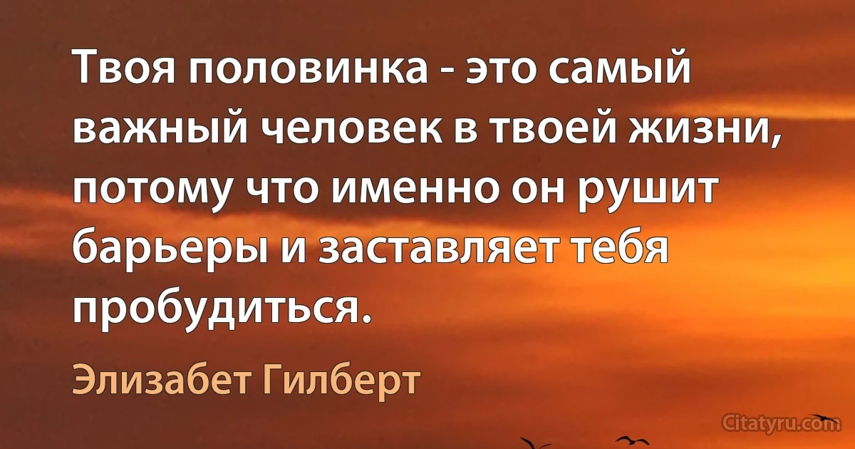 Твоя половинка - это самый важный человек в твоей жизни, потому что именно он рушит барьеры и заставляет тебя пробудиться. (Элизабет Гилберт)