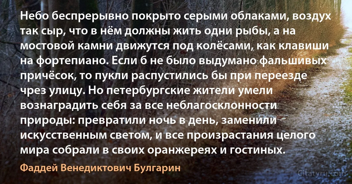 Небо беспрерывно покрыто серыми облаками, воздух так сыр, что в нём должны жить одни рыбы, а на мостовой камни движутся под колёсами, как клавиши на фортепиано. Если б не было выдумано фальшивых причёсок, то пукли распустились бы при переезде чрез улицу. Но петербургские жители умели вознаградить себя за все неблагосклонности природы: превратили ночь в день, заменили искусственным светом, и все произрастания целого мира собрали в своих оранжереях и гостиных. (Фаддей Венедиктович Булгарин)