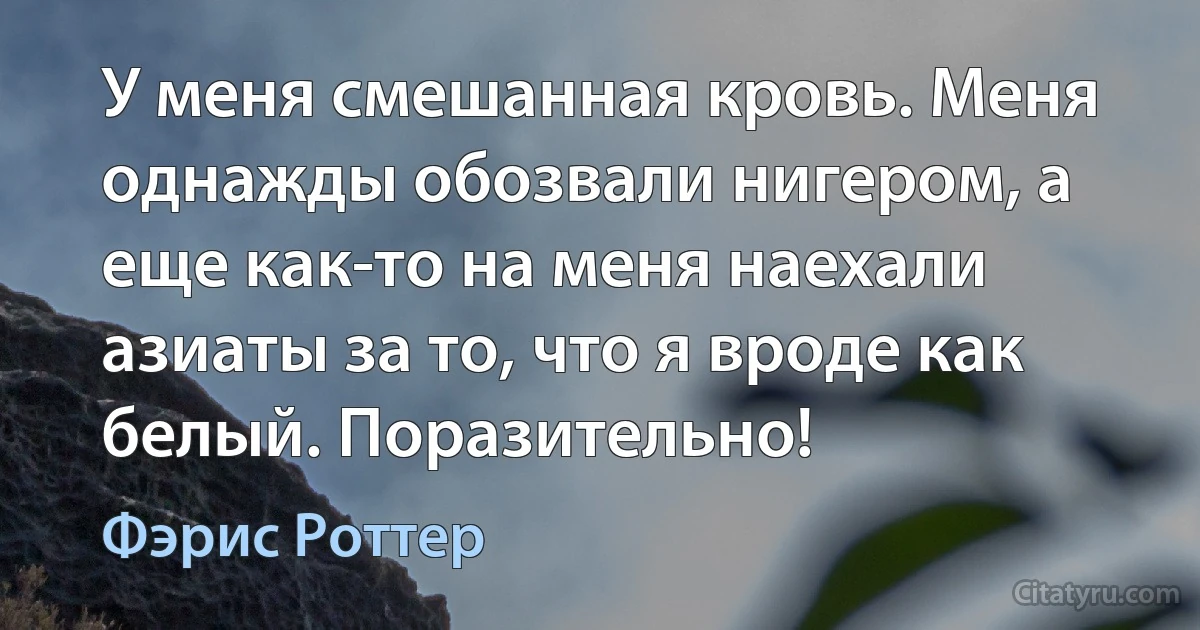 У меня смешанная кровь. Меня однажды обозвали нигером, а еще как-то на меня наехали азиаты за то, что я вроде как белый. Поразительно! (Фэрис Роттер)