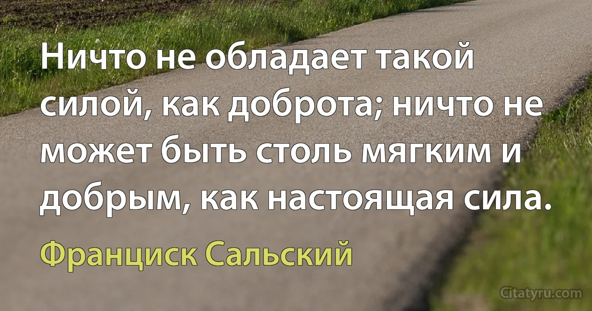 Ничто не обладает такой силой, как доброта; ничто не может быть столь мягким и добрым, как настоящая сила. (Франциск Сальский)