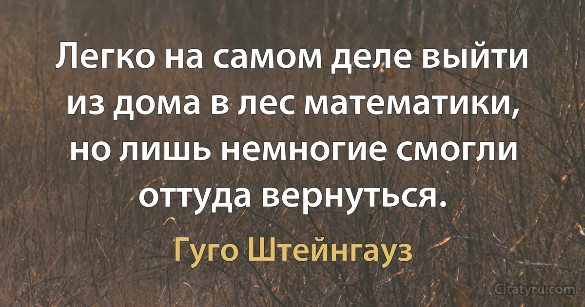 Легко на самом деле выйти из дома в лес математики, но лишь немногие смогли оттуда вернуться. (Гуго Штейнгауз)