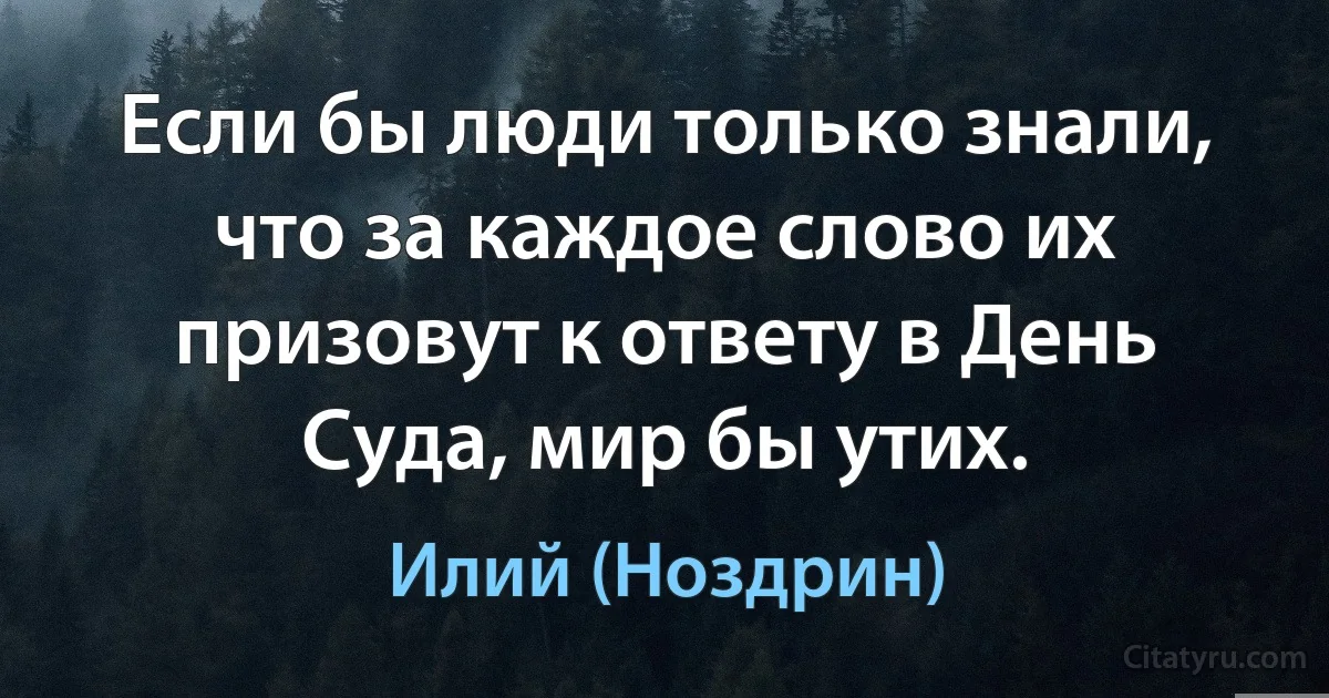 Если бы люди только знали, что за каждое слово их призовут к ответу в День Суда, мир бы утих. (Илий (Ноздрин))