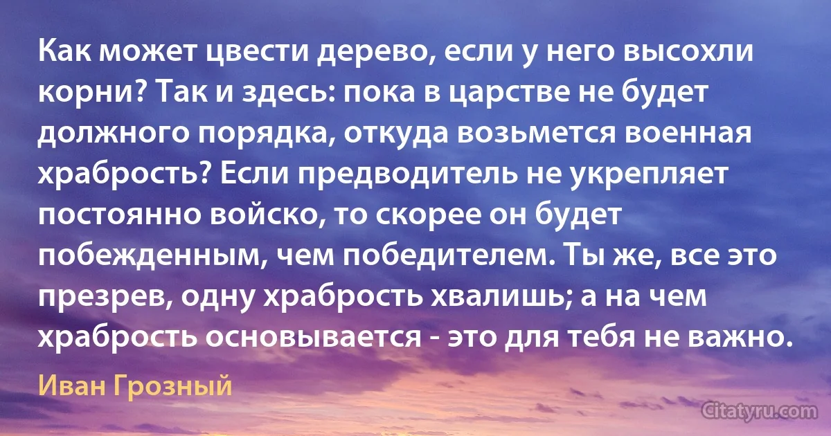 Как может цвести дерево, если у него высохли корни? Так и здесь: пока в царстве не будет должного порядка, откуда возьмется военная храбрость? Если предводитель не укрепляет постоянно войско, то скорее он будет побежденным, чем победителем. Ты же, все это презрев, одну храбрость хвалишь; а на чем храбрость основывается - это для тебя не важно. (Иван Грозный)