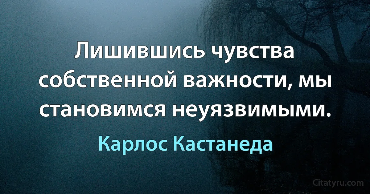 Лишившись чувства собственной важности, мы становимся неуязвимыми. (Карлос Кастанеда)