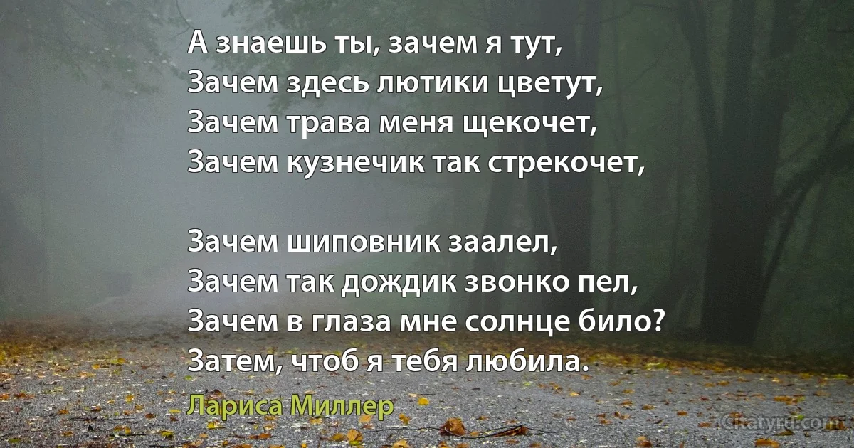 А знаешь ты, зачем я тут,
Зачем здесь лютики цветут,
Зачем трава меня щекочет,
Зачем кузнечик так стрекочет,

Зачем шиповник заалел,
Зачем так дождик звонко пел,
Зачем в глаза мне солнце било?
Затем, чтоб я тебя любила. (Лариса Миллер)