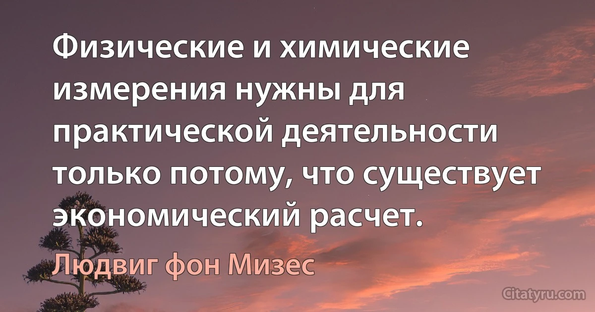 Физические и химические измерения нужны для практической деятельности только потому, что существует экономический расчет. (Людвиг фон Мизес)