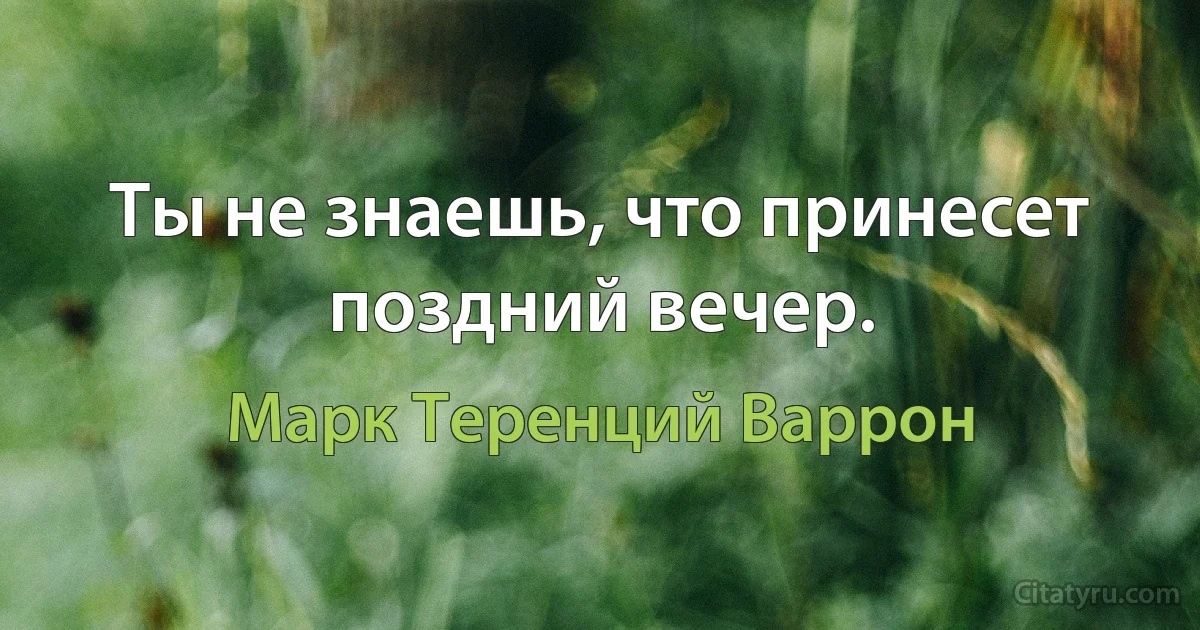 Ты не знаешь, что принесет поздний вечер. (Марк Теренций Варрон)