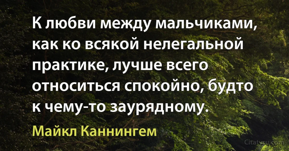 К любви между мальчиками, как ко всякой нелегальной практике, лучше всего относиться спокойно, будто к чему-то заурядному. (Майкл Каннингем)