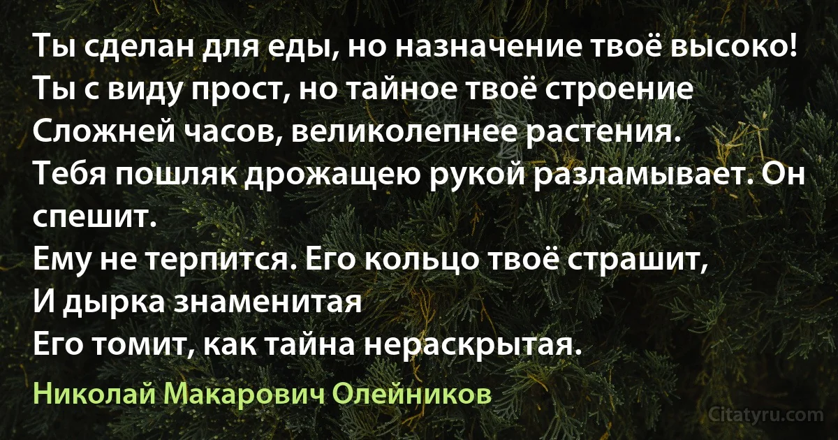 Ты сделан для еды, но назначение твоё высоко!
Ты с виду прост, но тайное твоё строение
Сложней часов, великолепнее растения.
Тебя пошляк дрожащею рукой разламывает. Он спешит.
Ему не терпится. Его кольцо твоё страшит,
И дырка знаменитая
Его томит, как тайна нераскрытая. (Николай Макарович Олейников)