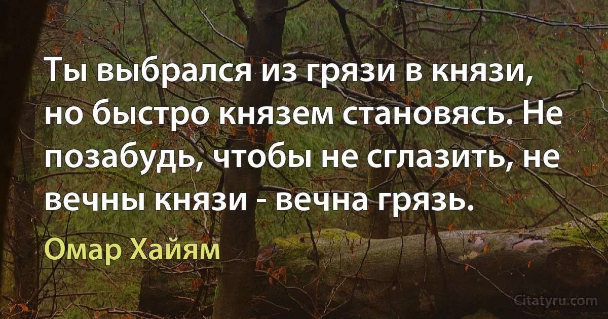 Ты выбрался из грязи в князи, но быстро князем становясь. Не позабудь, чтобы не сглазить, не вечны князи - вечна грязь. (Омар Хайям)