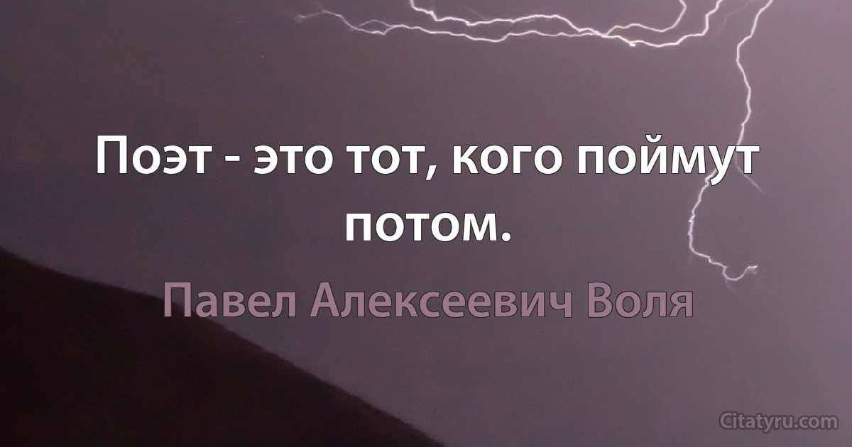 Поэт - это тот, кого поймут потом. (Павел Алексеевич Воля)