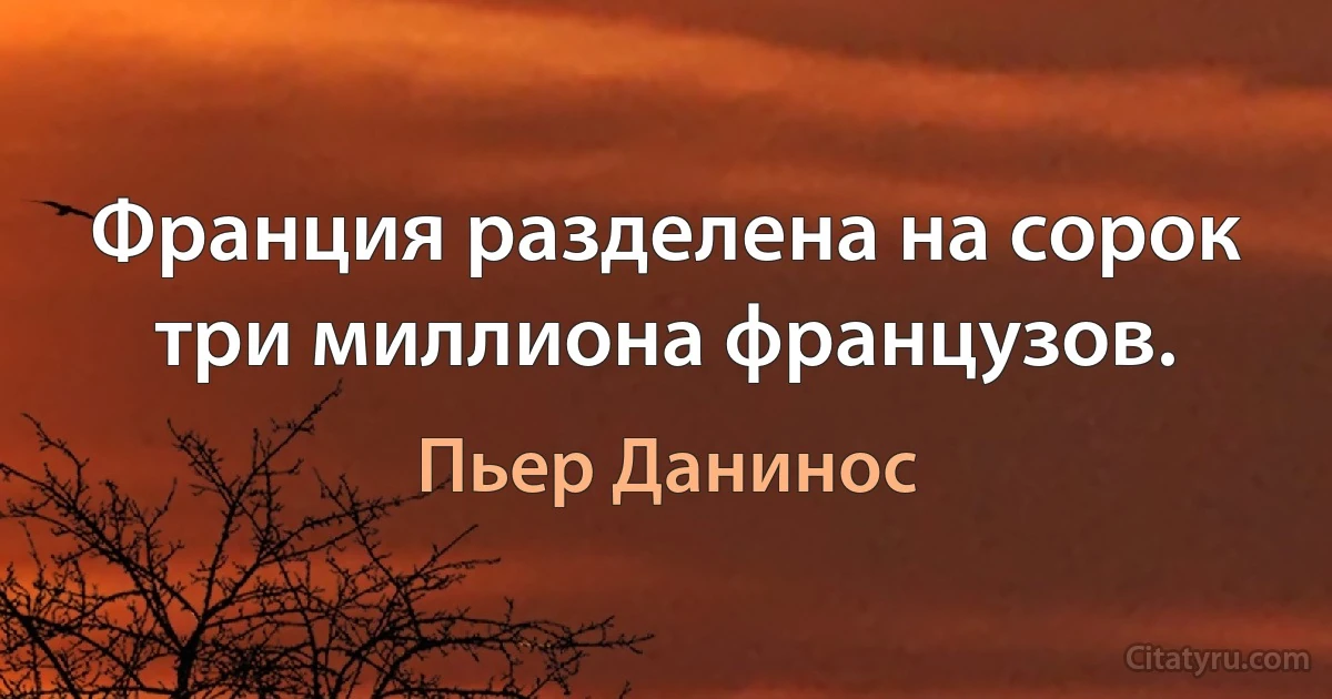 Франция разделена на сорок три миллиона французов. (Пьер Данинос)