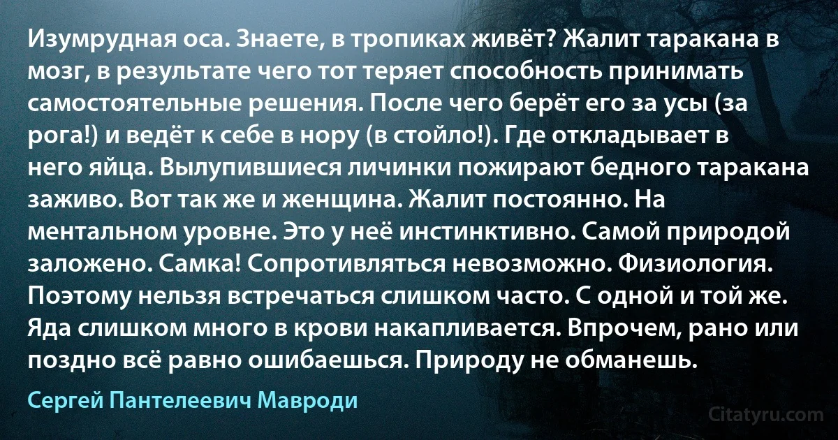 Изумрудная оса. Знаете, в тропиках живёт? Жалит таракана в мозг, в результате чего тот теряет способность принимать самостоятельные решения. После чего берёт его за усы (за рога!) и ведёт к себе в нору (в стойло!). Где откладывает в него яйца. Вылупившиеся личинки пожирают бедного таракана заживо. Вот так же и женщина. Жалит постоянно. На ментальном уровне. Это у неё инстинктивно. Самой природой заложено. Самка! Сопротивляться невозможно. Физиология. Поэтому нельзя встречаться слишком часто. С одной и той же. Яда слишком много в крови накапливается. Впрочем, рано или поздно всё равно ошибаешься. Природу не обманешь. (Сергей Пантелеевич Мавроди)