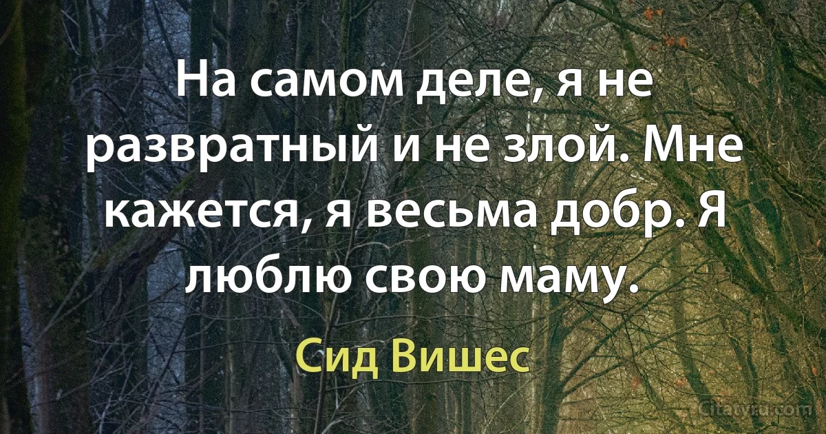 На самом деле, я не развратный и не злой. Мне кажется, я весьма добр. Я люблю свою маму. (Сид Вишес)