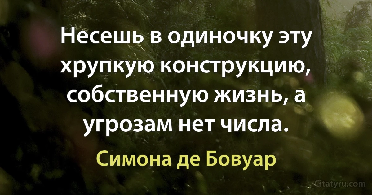 Несешь в одиночку эту хрупкую конструкцию, собственную жизнь, а угрозам нет числа. (Симона де Бовуар)