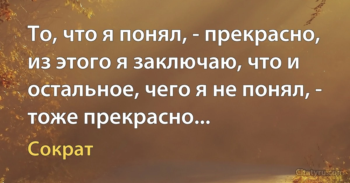 То, что я понял, - прекрасно, из этого я заключаю, что и остальное, чего я не понял, - тоже прекрасно... (Сократ)