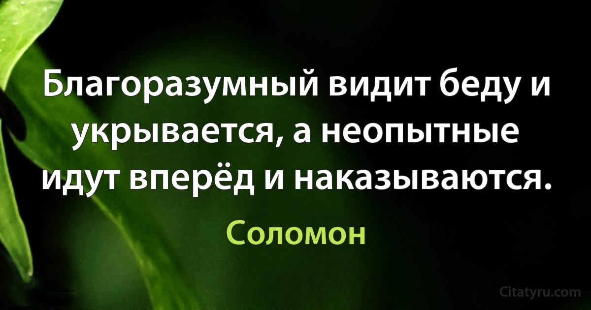 Благоразумный видит беду и укрывается, а неопытные идут вперёд и наказываются. (Соломон)