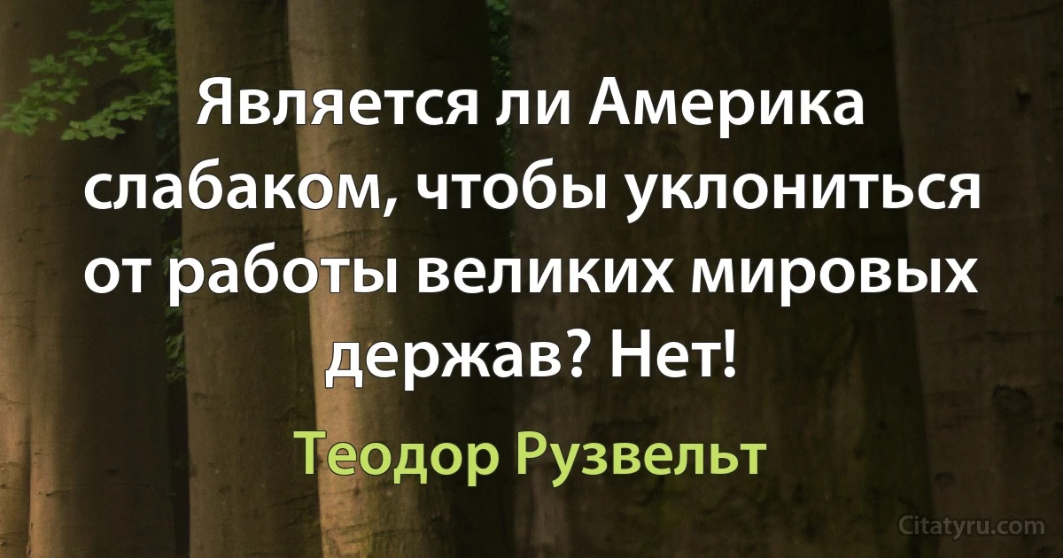 Является ли Америка слабаком, чтобы уклониться от работы великих мировых держав? Нет! (Теодор Рузвельт)