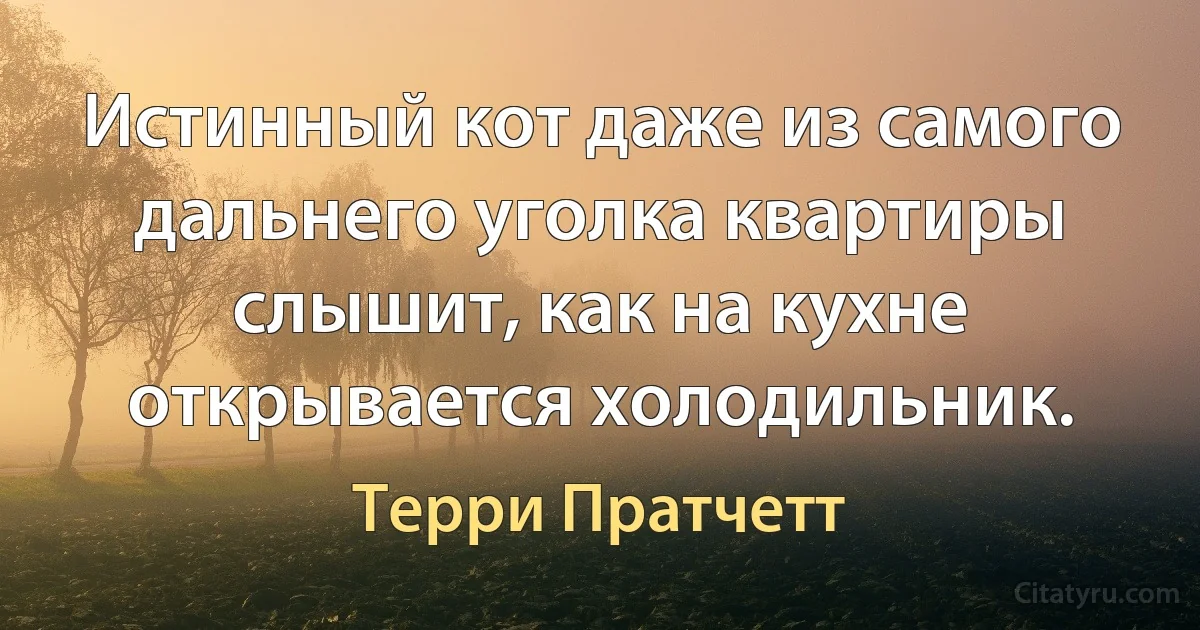 Истинный кот даже из самого дальнего уголка квартиры слышит, как на кухне открывается холодильник. (Терри Пратчетт)