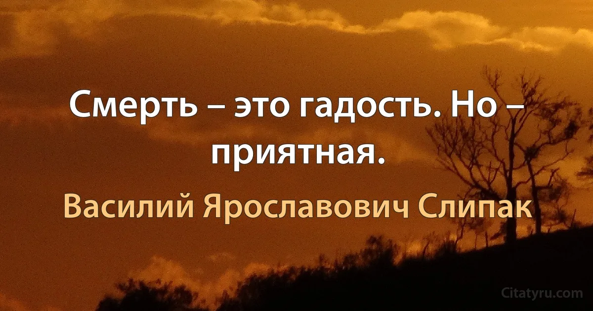 Смерть – это гадость. Но – приятная. (Василий Ярославович Слипак)